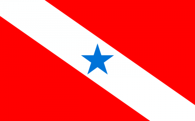 DPVAT Pará 2023